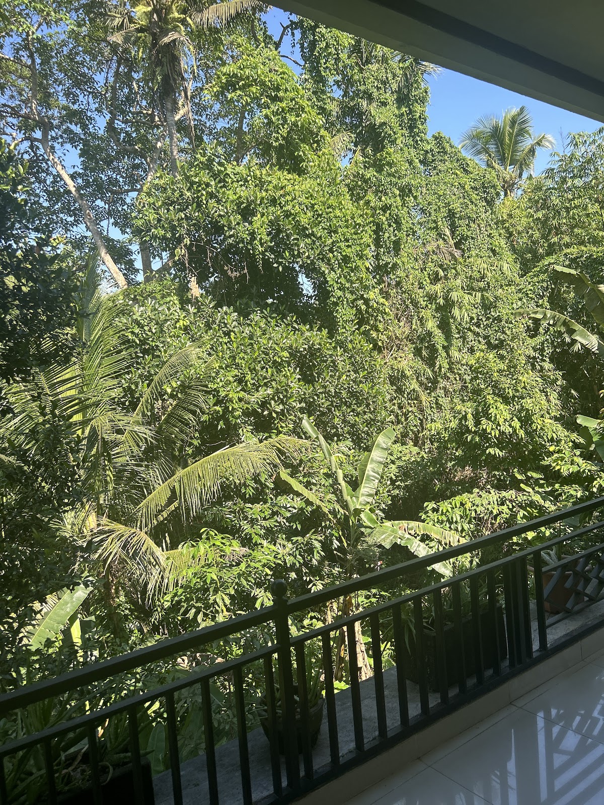 Properti sewa Indonesia