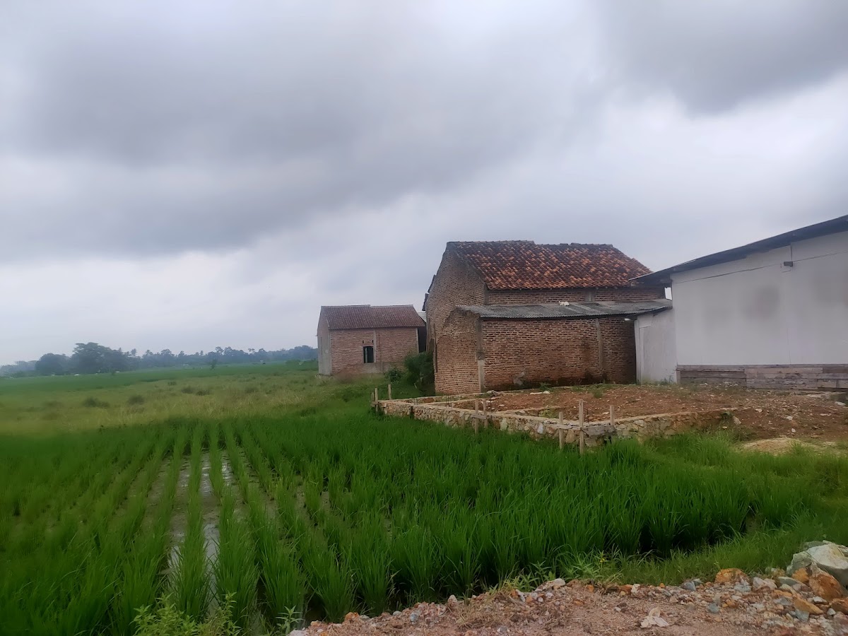 Properti sewa Indonesia