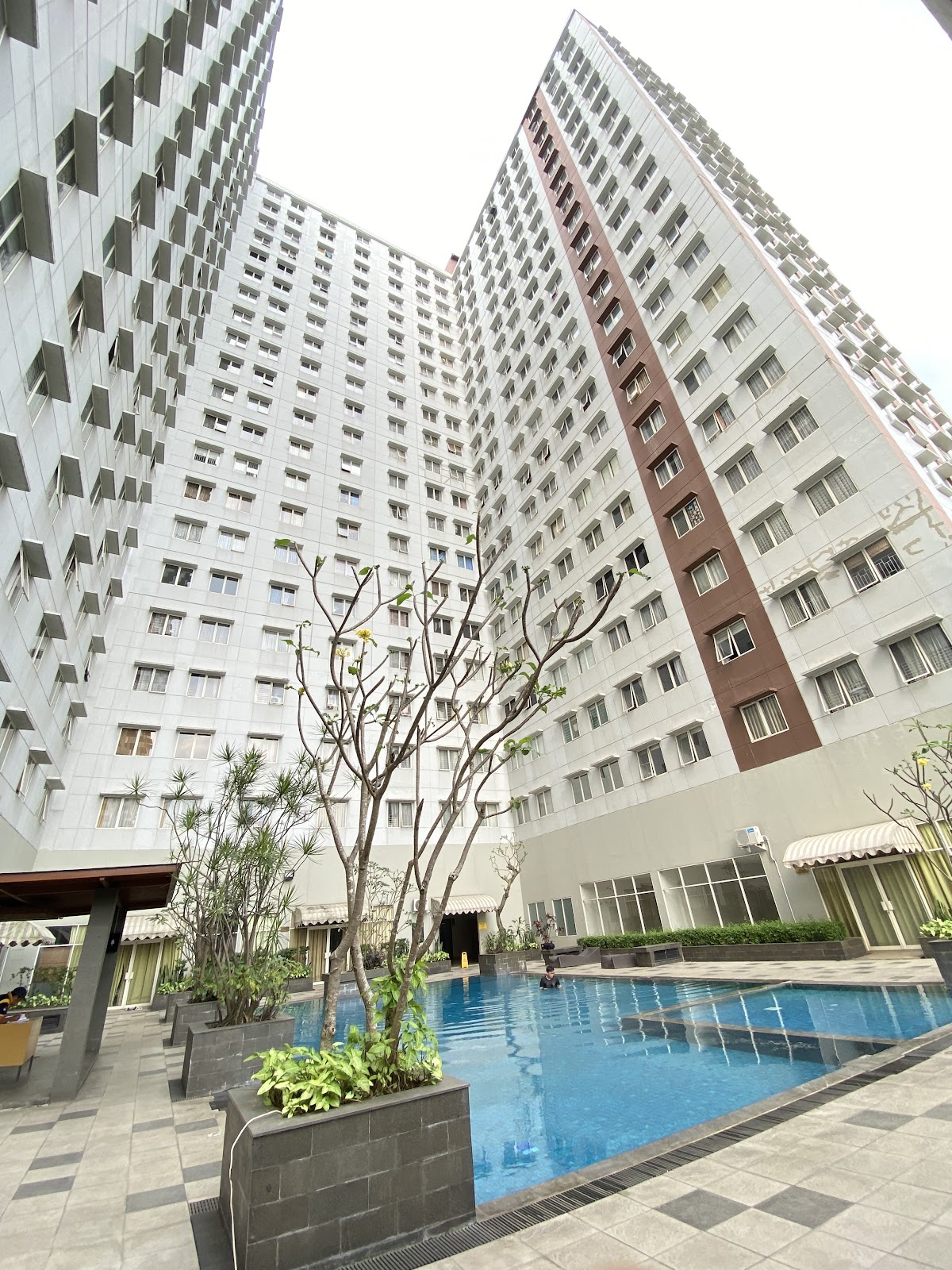 Pinewood apartment jatinangor ( sell, rent apartment)