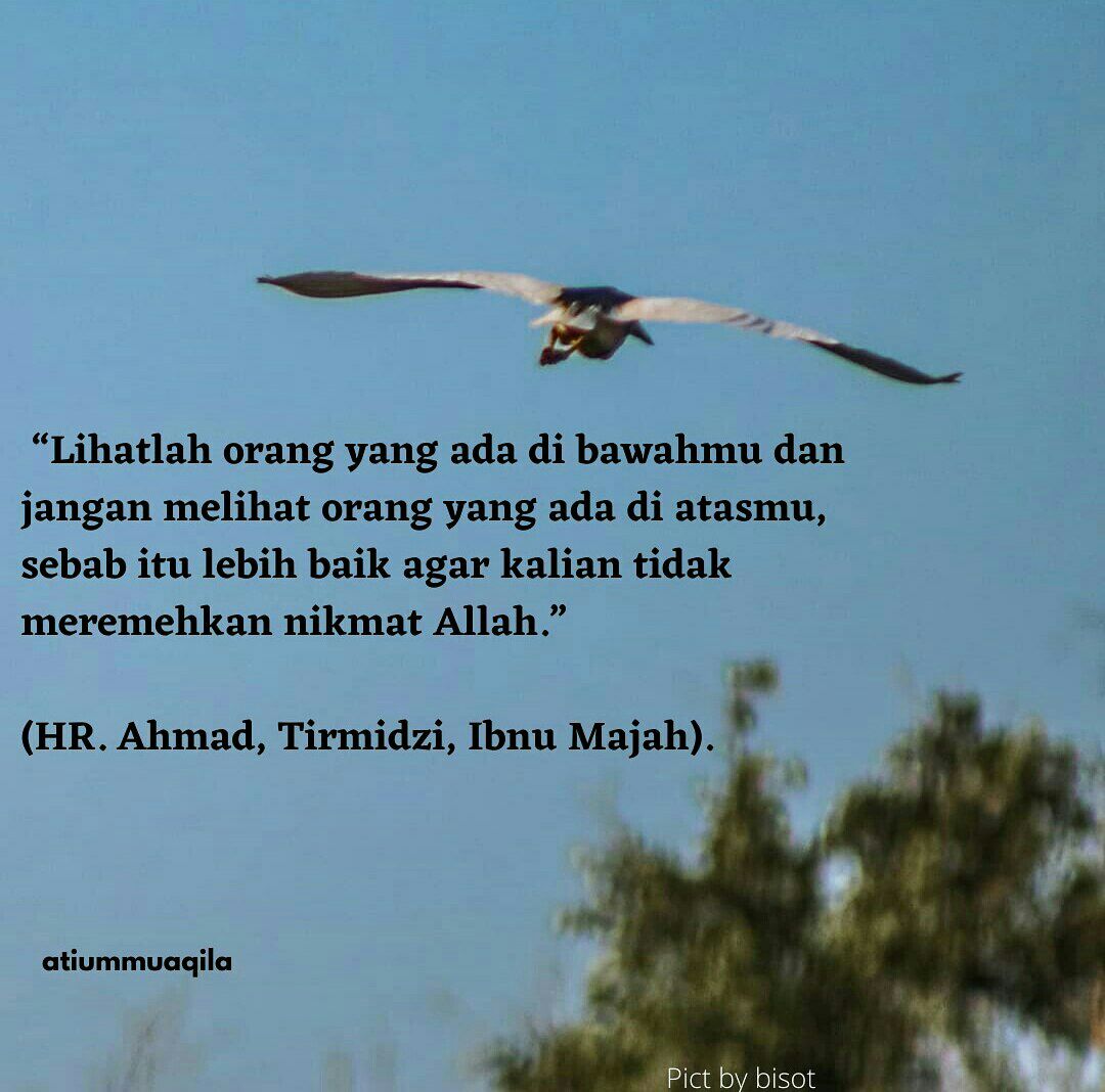 Kontrakan Ummi Yarni