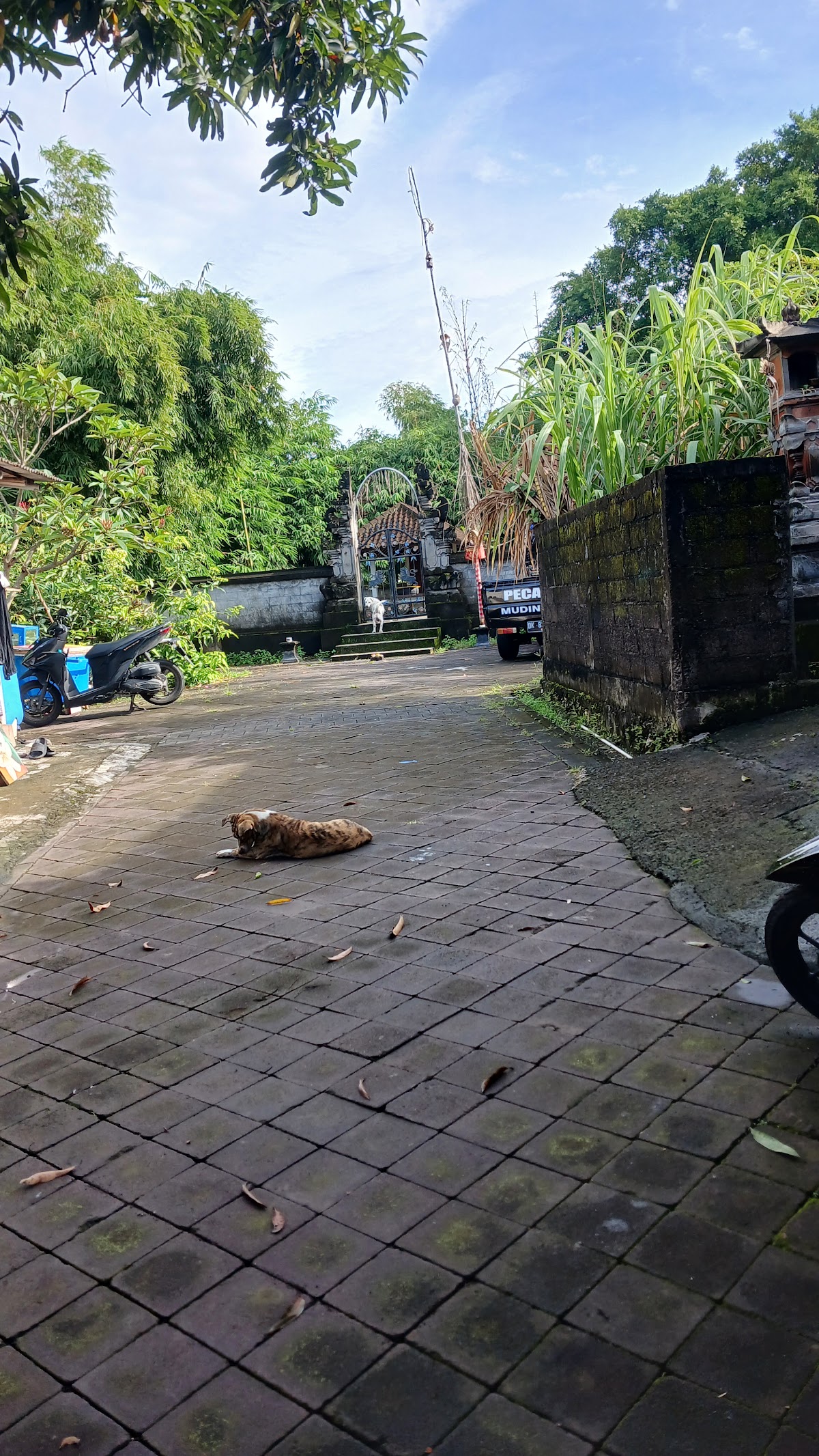 Kost Pak Nawir - Sewa di Kerobokan