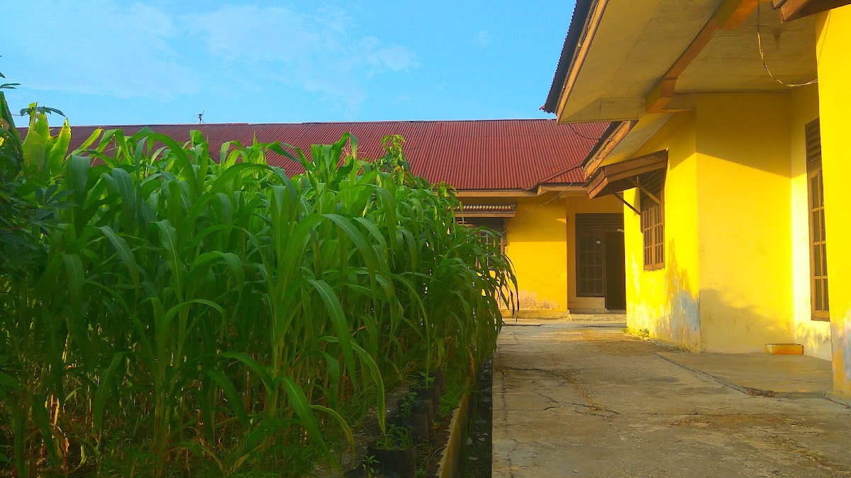 Properti sewa Indonesia