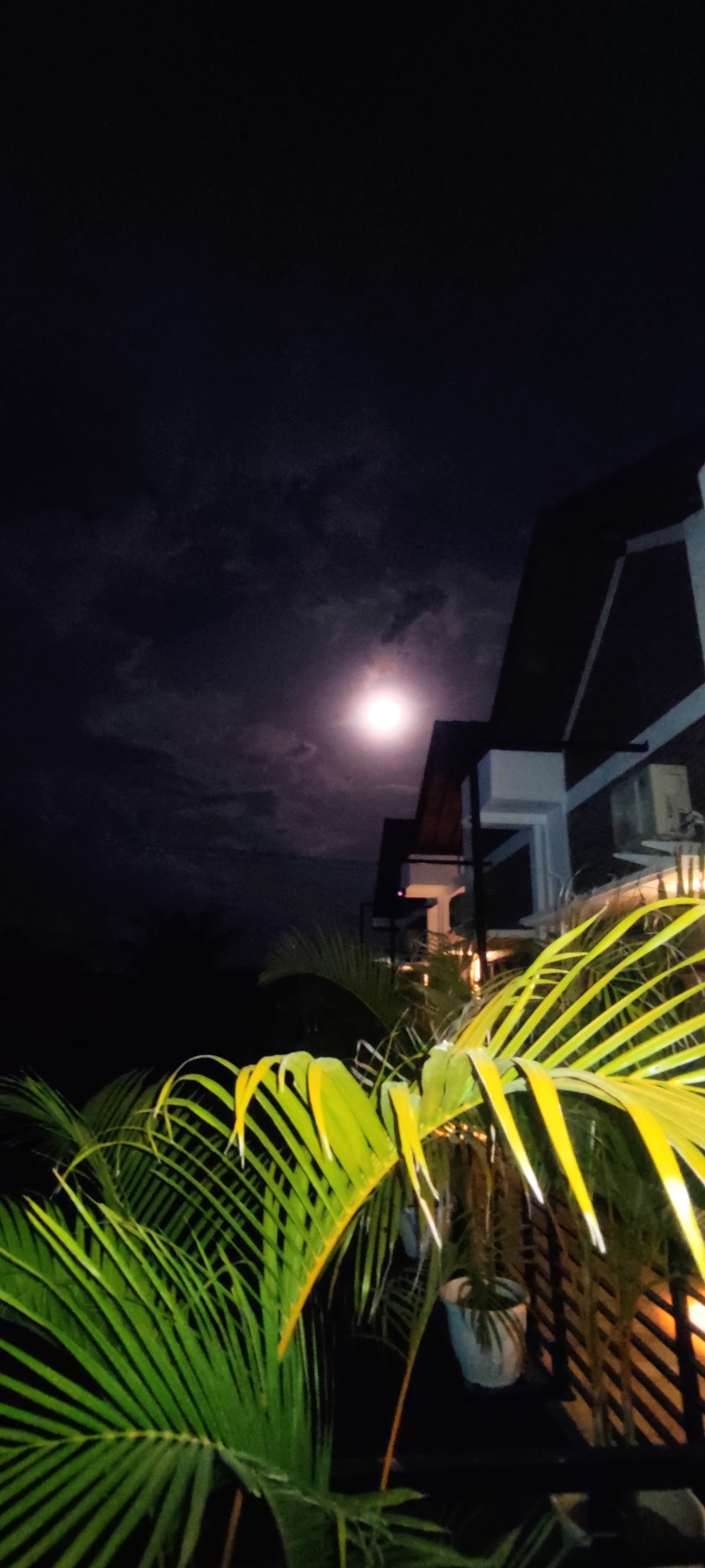 Kost Di pondok kost — kos di bali