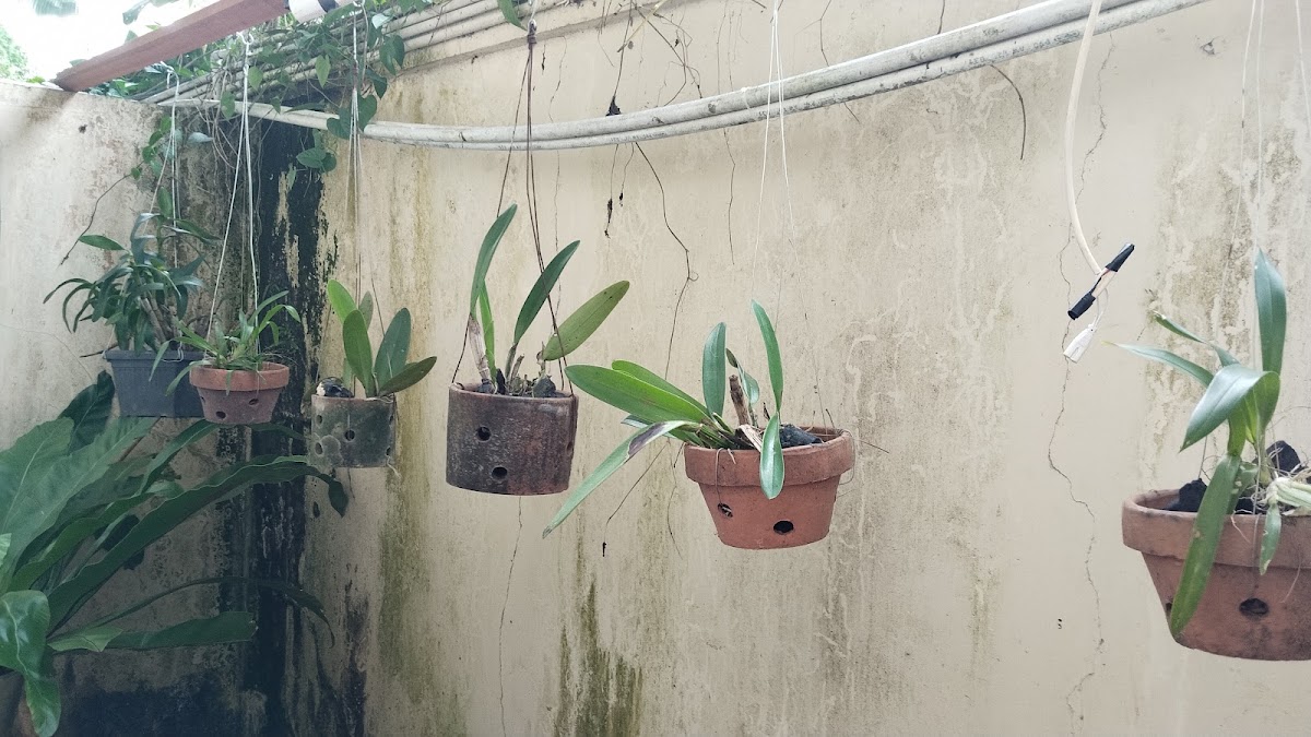 Kontrakan Pak Wagiyo — kontrakan di bali