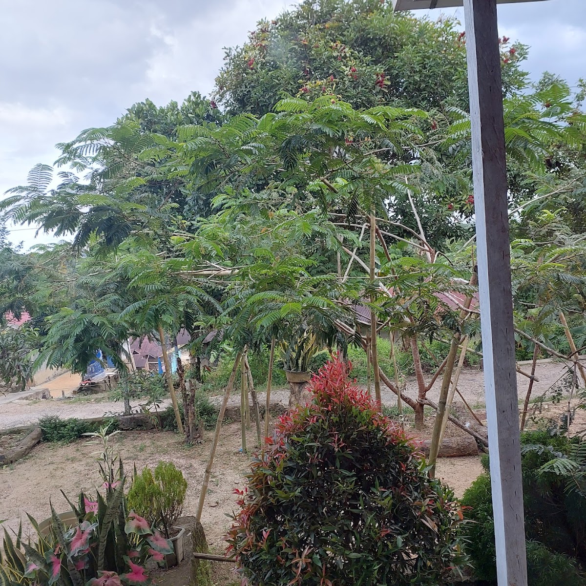 Properti sewa Indonesia