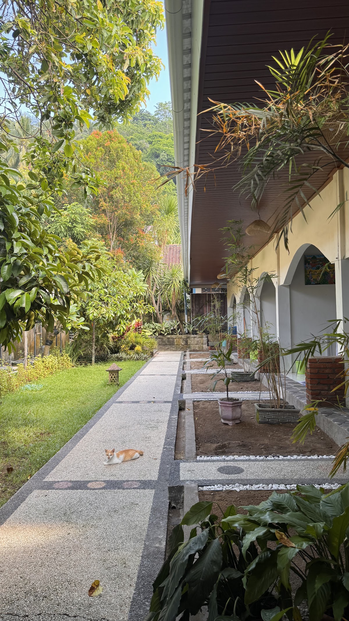 Properti sewa Indonesia