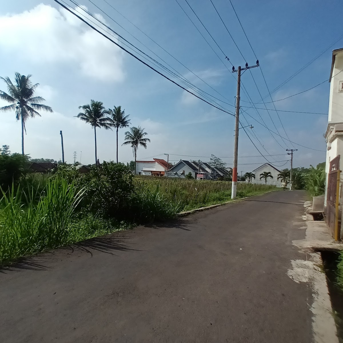 Properti sewa Indonesia
