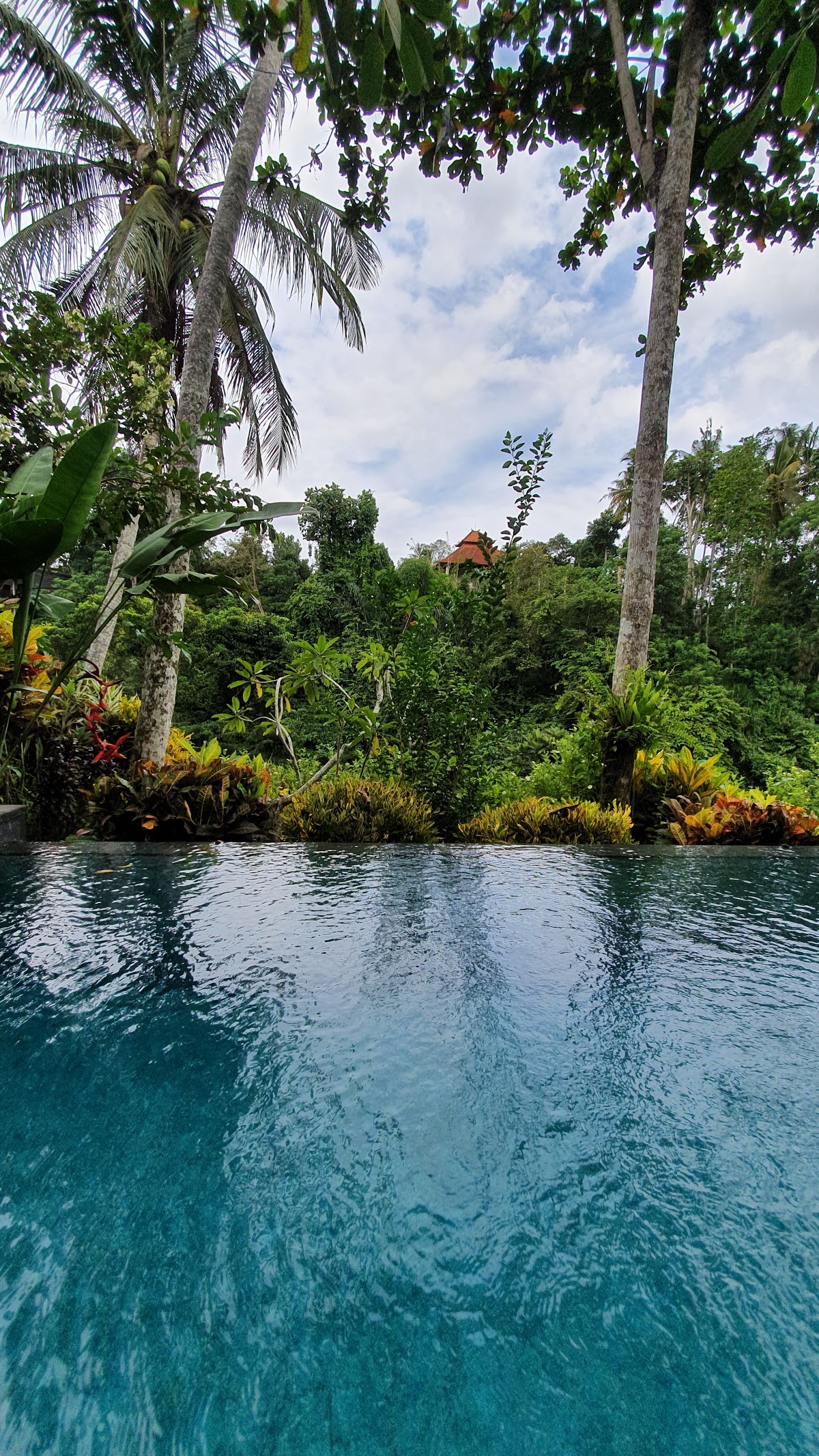 JUNGLE VIEW — kontrakan di bali